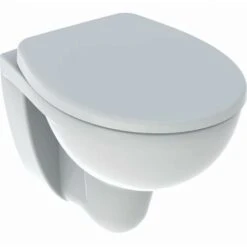 Pack WC Suspendu à Fond Creux Bastia Compact Rimfree Avec Abattant GEBERIT - 501.894.00.1