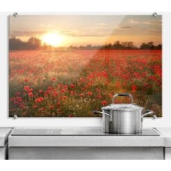 Pince à Verre Acier Inoxydable 4x Fixations à Pinces Argent Rondes Pour Miroir Crédence Cuisine -Geberit || Grohe || ALLIBERT Soldes 54367850 5