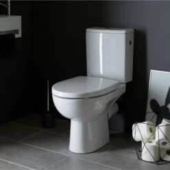 Pack Wc Gain De Place Rimless Sortie Horizontale