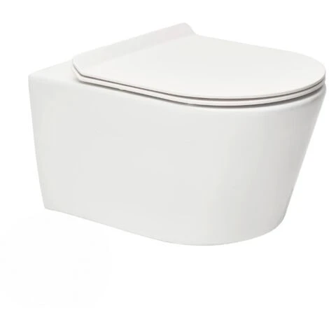 Swiss Aqua Technologies Brevis WC Suspendu Sans Bride, Fixations Invisibles + Abattant Ultra-fin, Softclose (BrevisRimless) 3 Swiss Aqua Technologies Brevis WC Suspendu Sans Bride, Fixations Invisibles + Abattant Ultra-fin, Softclose (BrevisRimless)