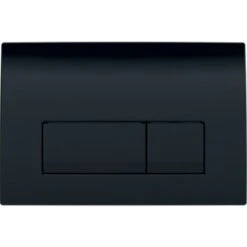 Geberit Delta 50 Plaque De Commande Double Touche, Noir Brillant (115.119.DW.1)