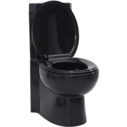 WC Cuvette Céramique Noir VidaXL