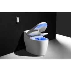 WC Monobloc Toptoilet Luxe Platinium 2 PLUS