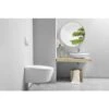 WC Suspendu Toptoilet Suspens Crystal -Geberit || Grohe || ALLIBERT Soldes 93564603 1